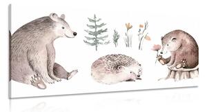 Quadro su tela – Animali nel bosco che si rilassano