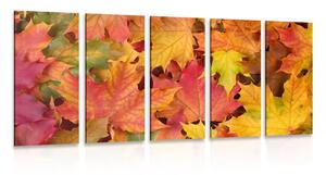 Quadri 5 pezzi – Foglie d'autunno
