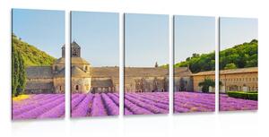Quadri 5 pezzi – Provenza con campi di lavanda