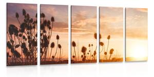 Quadri 5 pezzi – Steli d'erba all'alba