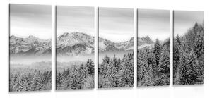 Quadri 5 pezzi – Montagne congelate in bianco e nero