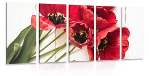 Quadri 5 pezzi – Tulipani rossi in fiore