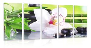 Quadri 5 pezzi – Orchidea giapponese