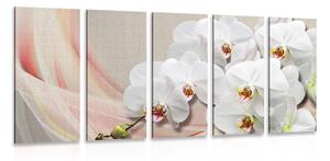 Quadri 5 pezzi – Orchidea bianca su tela