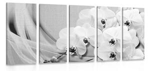 Quadri 5 pezzi – Orchidea su tela in bianco e nero