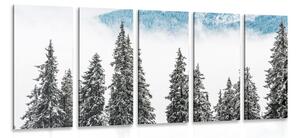 Quadri 5 pezzi – Alberi di pino innevati