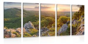 Quadri 5 pezzi – Natura baciata dal sole