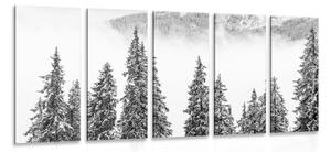 Quadri 5 pezzi – Alberi di pino innevati in bianco e nero