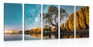 Quadri 5 pezzi – Albero sotto il cielo stellato