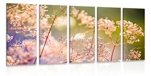 Quadri 5 pezzi – Natura morta di fiori