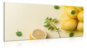 Stampa su tela – Limoni con menta