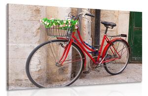 Stampa su tela – Bicicletta rustica