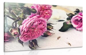 Quadro su tela – Rose in fiore