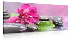 Stampa su tela – Orchidea con tocco di relax