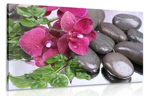 Quadro su tela – Orchidea fiorita e pietre per il benessere