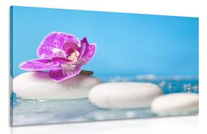 Quadro su tela – Orchidea e pietre Zen