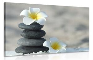 Quadro su tela – Pietre armoniche e fiore di plumeria