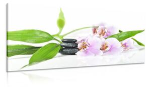 Stampa su tela – Natura morta con pietre Zen