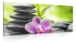 Quadro su tela – Composizione Zen tropicale
