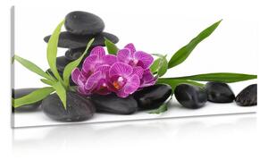 Stampa su tela – Orchidea viola in natura morta Zen