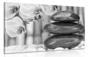 Stampa su tela – Giardino Zen giapponese in bianco e nero