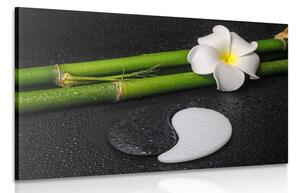 Quadro su tela – Natura morta Spa e pietre Jin e Jang