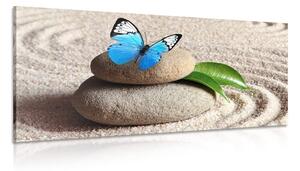Quadro su tela – Farfalla blu su pietra Zen