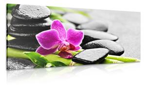 Quadro su tela – Natura morta per il benessere con orchidea viola