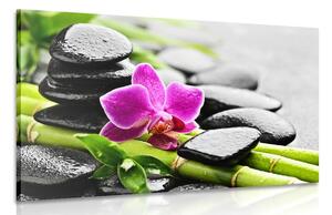Stampa su tela – Natura morta Spa con orchidea viola
