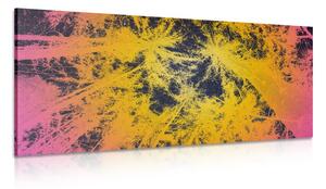 Quadro su tela – Tramonto nella foresta tropicale