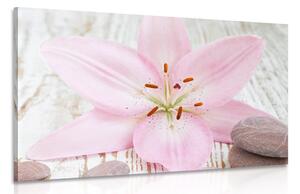 Stampa su tela – Giglio rosa e pietre zen