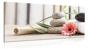 Stampa su tela – Natura morta meditativa e benessere