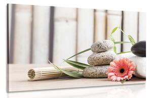 Quadro su tela – Natura morta benessere meditativa
