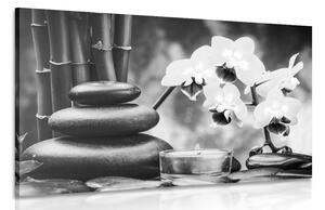 Quadro su tela – Natura morta spa in bianco e nero