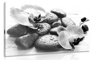 Quadro su tela – Bella armonia di pietre e orchidee in bianco e nero