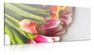 Quadro su tela – Bouquet di tulipani colorati