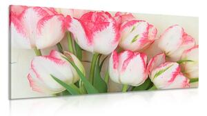 Quadro su tela – Tulipani con tocco primaverile