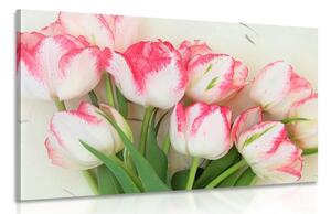 Stampa su tela – Tulipani primaverili