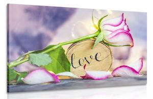 Stampa su tela – Dichiarazione romantica Love
