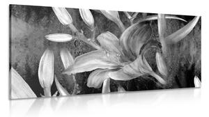 Quadro su tela – Fioritura di giglio in bianco e nero