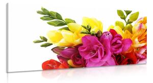 Quadro su tela – Bouquet di fresie