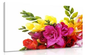 Stampa su tela – Bouquet di fresie colorate