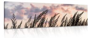 Quadro su tela – Spighe di erba lunga