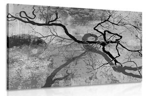 Stampa su tela – Alberi surrealisti in bianco e nero