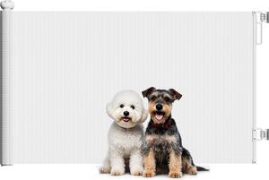 AllMyPets Cancellino per Cani Piccoli Estensibile 0-140x86.5 cm e Retrattile con Blocco Automatico colore Bianco - WTEF241