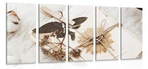 Quadri 5 pezzi – Collezione di foglie antiche