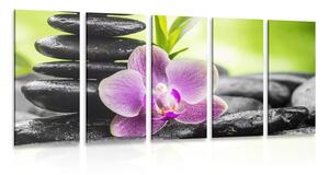Quadri 5 pezzi – Composizione Zen tropicale