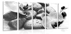 Quadri 5 pezzi – Armonia di pietre e orchidea in bianco e nero