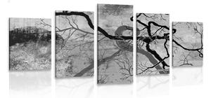Quadri 5 pezzi – Alberi surrealisti in bianco e nero