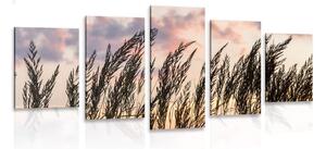 Quadri 5 pezzi – Erba al tramonto
